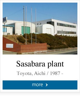 Sasabara plant