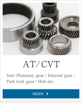 Sun/Planetary gear / Internal gear / Park lock gear / Hub etc.