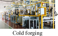 Cold forging