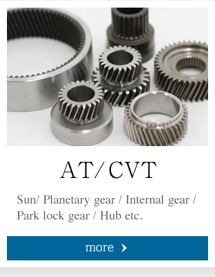 Sun/ Planetary gear / Internal gear / Park lock gear / Hub etc.